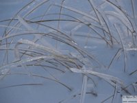 2025-12-27 Il Costone 069